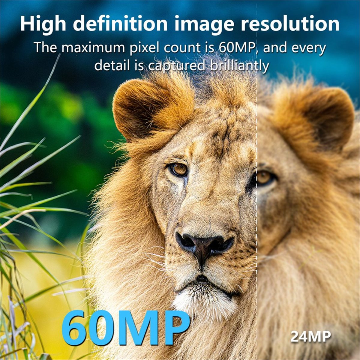 AS62 8K Hunting Camera HD Wild - đánh giá và giá Hunting Outdoor Rug
