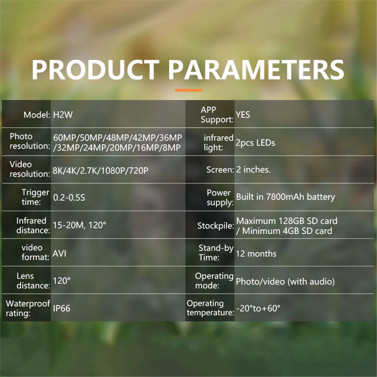 AS62 8K Hunting Camera HD Wild - đánh giá và giá Hunting Outdoor Rug