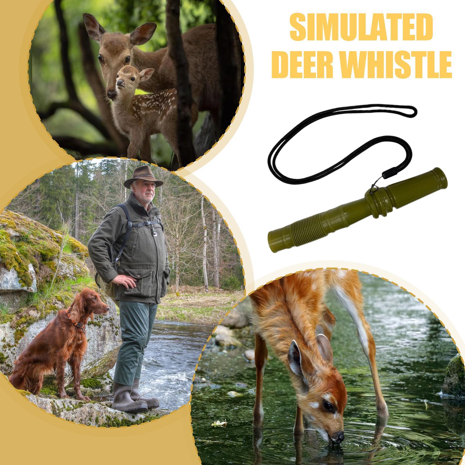 Rattling Antlers For Deer Hunt - đánh giá và giá Outdoor Hunting Youtube